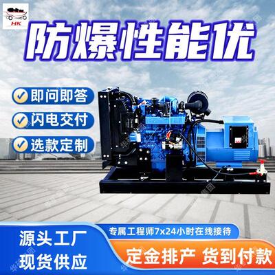 矿用防爆柴油机 防尘耐腐防爆柴油机 YD6116DZLDFB防爆柴油机