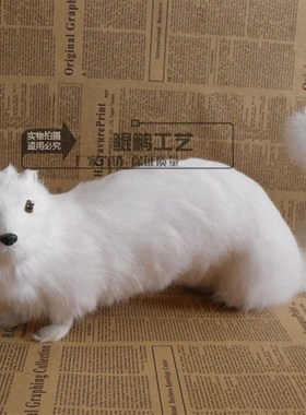 仿真貂 摆件教学认知动物道具C工艺品白貂教学道具器材仿真貂