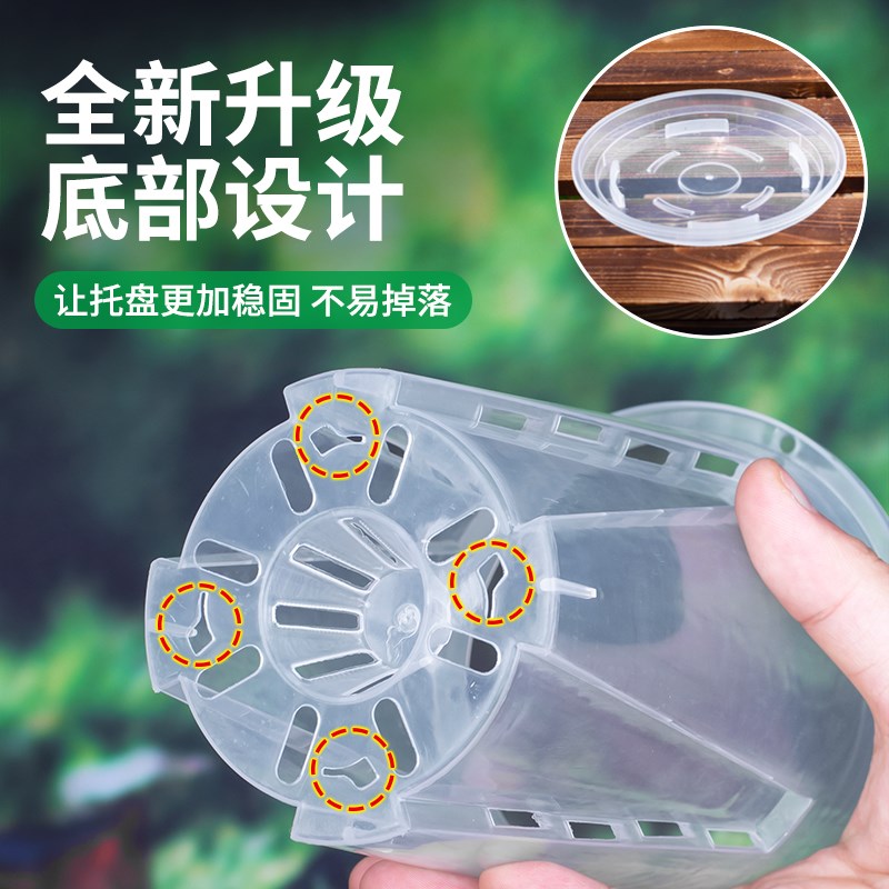 现货速发兰花水苔透气透明青山盆控根盆塑料杯带托盘营养钵蝴蝶兰