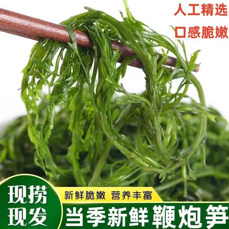 鞭炮笋长寿菜凉拌菜盐渍马尾藻火锅食材海麻辣烫炮仗笋海草鞭泡笋