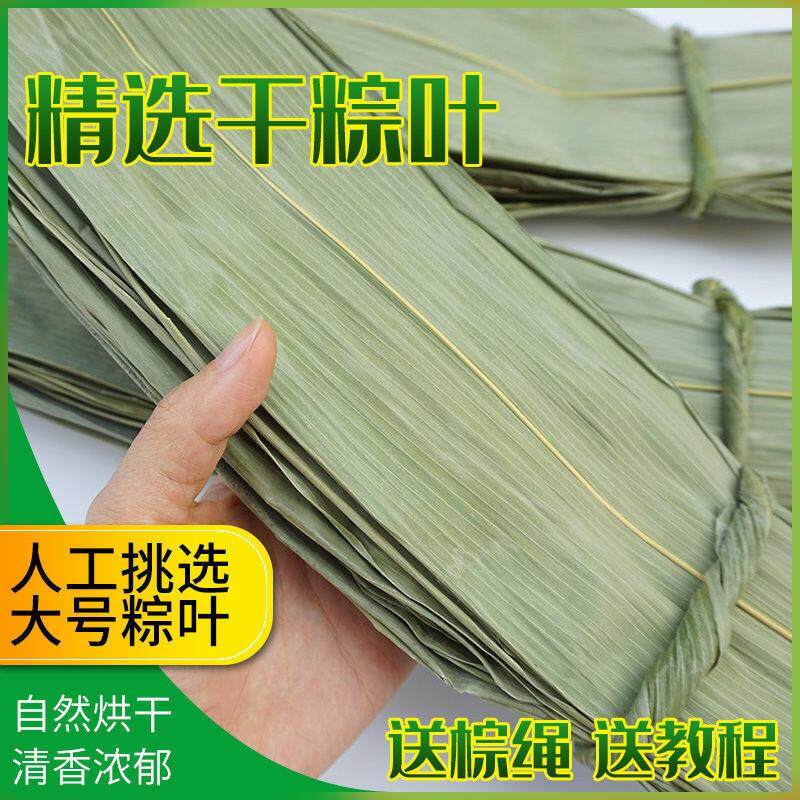 干粽叶新鲜大叶家用纯天然野生粽叶子干大号粽子叶箬叶端午包粽子