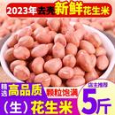 2024年新鲜花生米新货大颗粒白沙农家生花生米商用去散装 壳花生仁