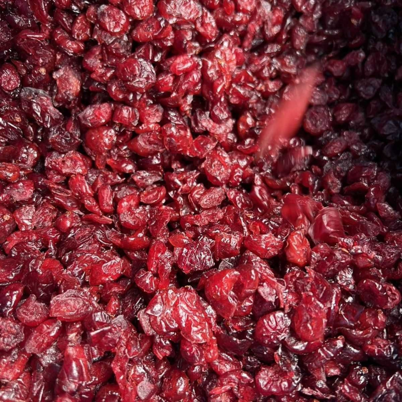 进口切片蔓越莓干零食烘焙水果捞中式糕点用果干切片馅料原料