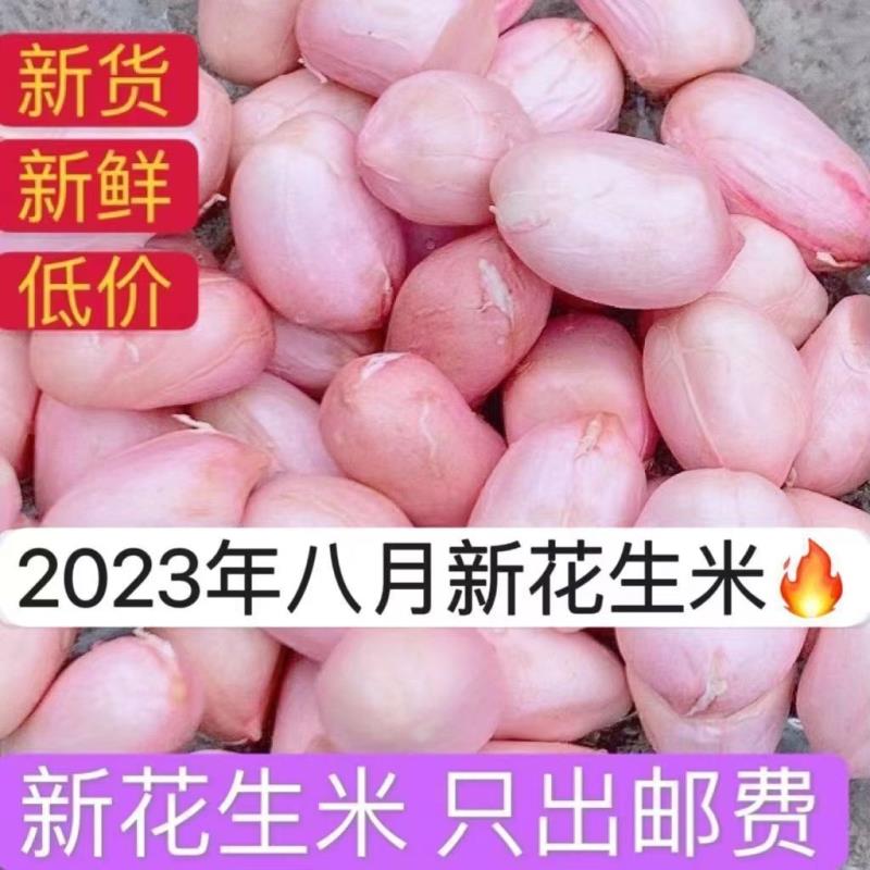 23年新货花生米仁现剥精选无壳白沙花生米粉红皮新鲜生花生米批发