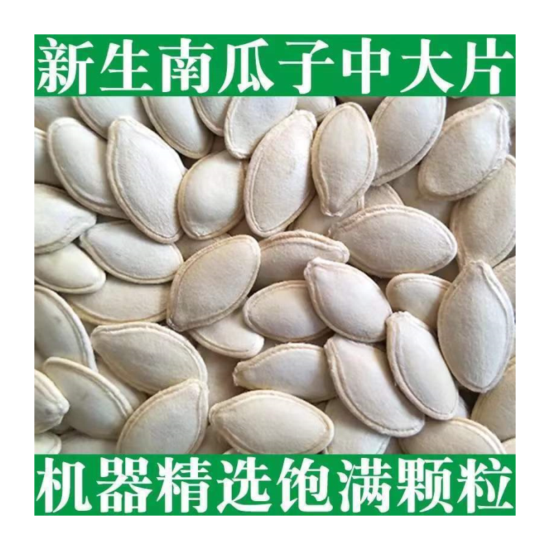 新货生南瓜子5斤装 2斤1斤 生南瓜子 批发瓜子类坚果零食生南瓜子