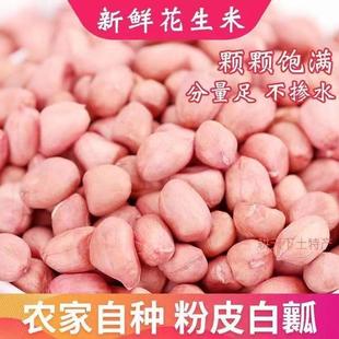 山东无壳生花生米新货5斤杂粮粉皮花生榨油原料官方旗舰店