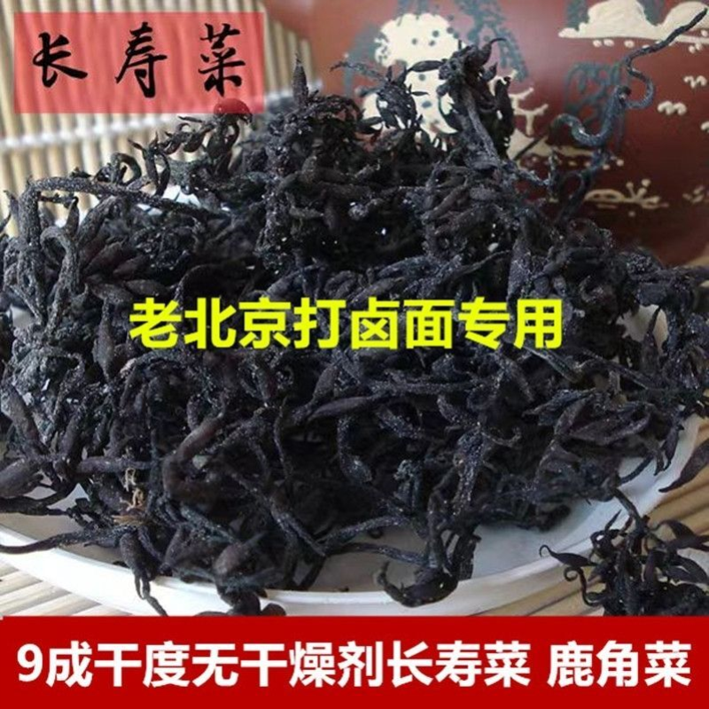 纯天然干型长寿菜鹿角菜海葡萄干货250g无盐即食凉拌羊栖菜海藻