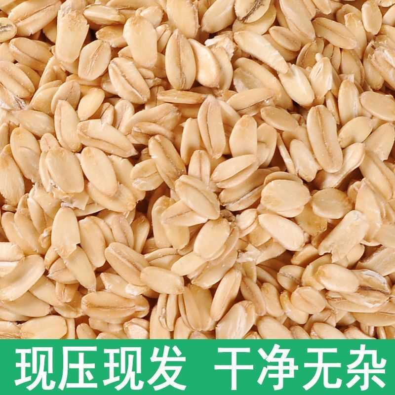 当季生燕麦片新货非即食农家自产生燕麦煮粥粗粮麦片整片纯燕麦