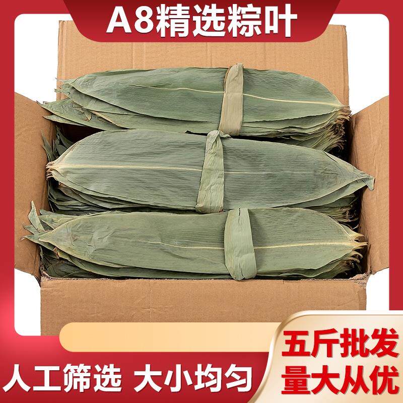 新鲜商用本地粽子叶富安玉