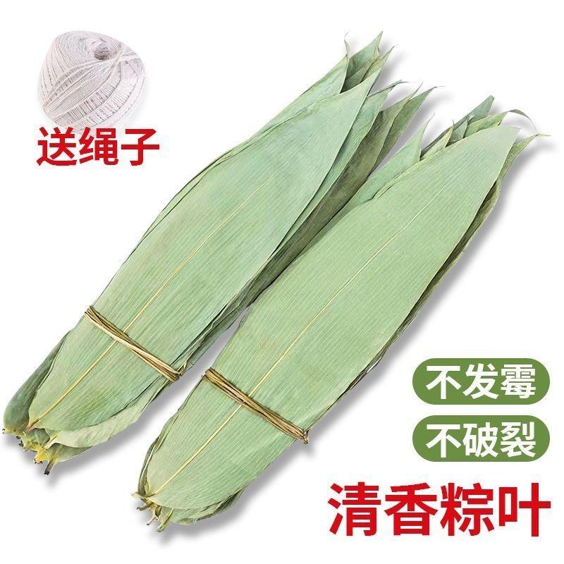 粽子叶干大粽叶包粽子用野生天然家用晒干大粽叶端午粽子节包邮