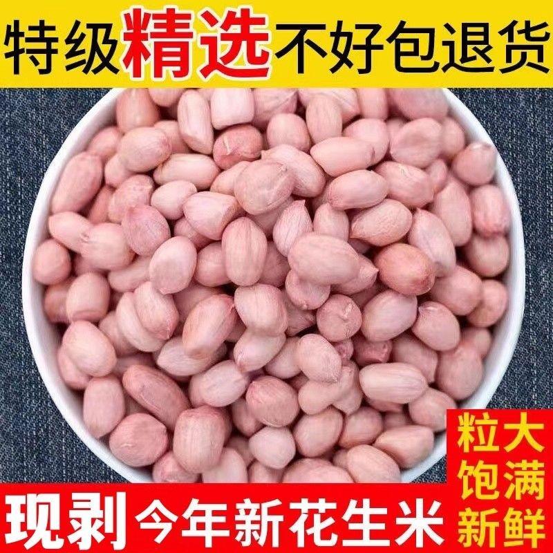 新鲜花生特价批发去壳白沙花生新货农家自种手剥花生米250g5斤装