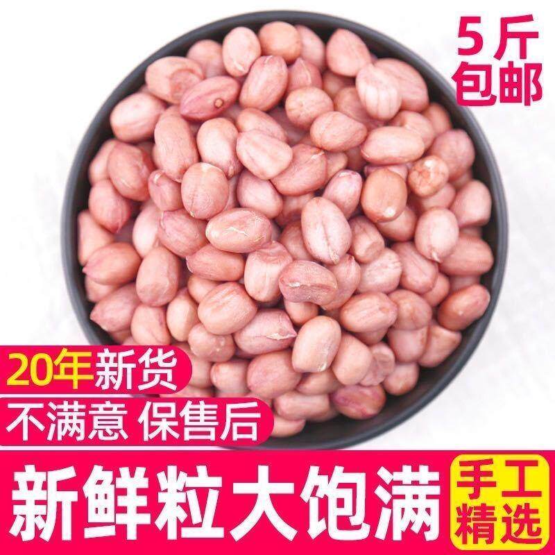 2023年新鲜白沙花生农家自产新货大粒花生批发去壳干花生