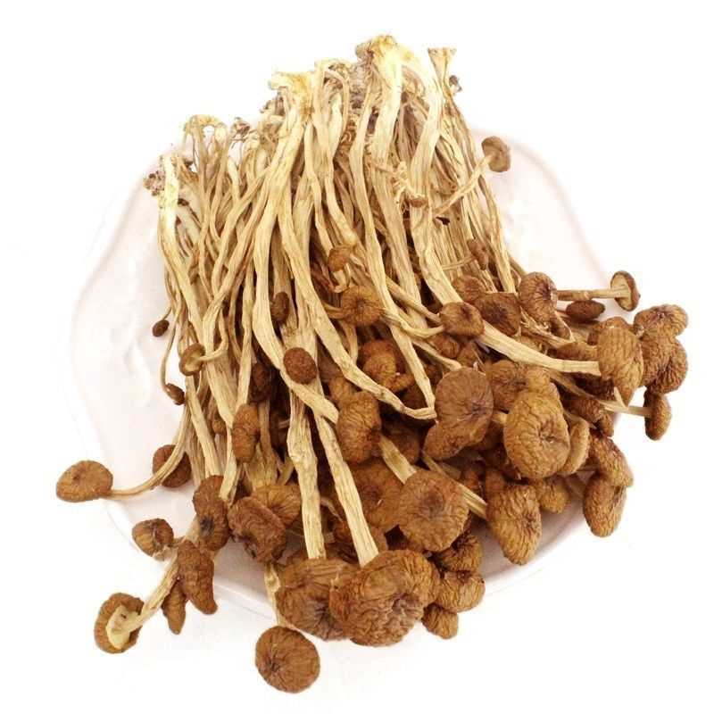 【净重发货】不开伞茶树菇干货农家特产新鲜茶树菇新货煲汤批发价