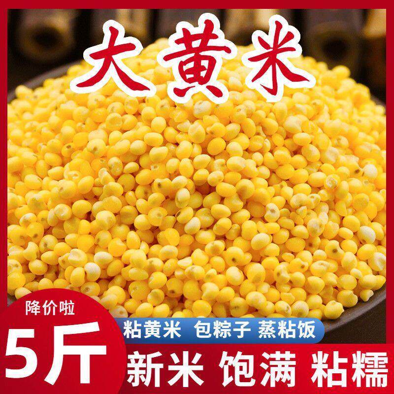 黏糯大黄米新米黄米粘糯小米黍子包粽子粘豆黏米饭大黄米粘米