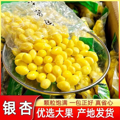 新货去皮白果仁即食银杏果仁无壳大果保鲜煲汤熟白果真空包装甜汤