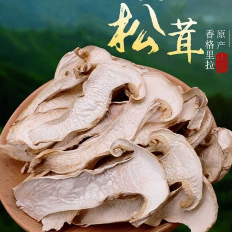 正宗野生松茸菇菌菇干货云南特产香格里拉野生松茸菌鲜松茸干片