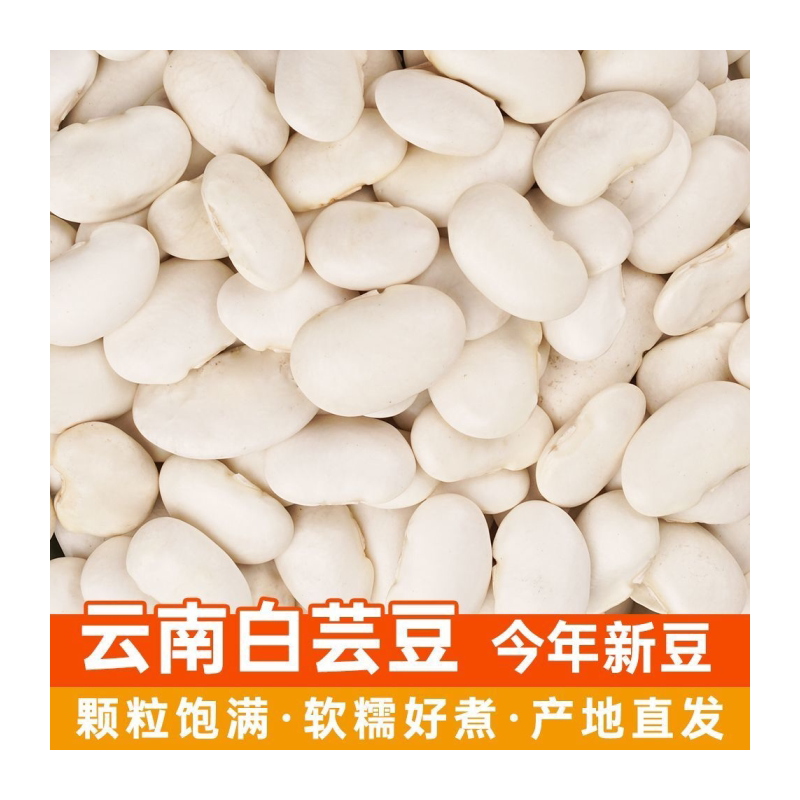 新货白芸豆云南特产大白芸豆农家自种大豆白云豆五谷杂粮豆类批发
