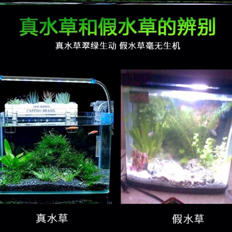 金晶五线超白鱼缸高清方缸定做小型水族箱40060x4040x40cm50cm90