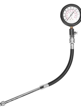 020bar 0300 PSI Professional Car Engine Cylinder Compres