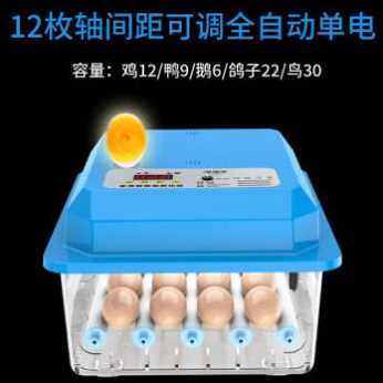 新品厂促厂促包邮鸡蛋自动孵化器小鸡孵蛋器孵化设备鸡蛋鸭蛋鹅品