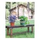 chair park antiseptic wooden courtyard 极速Solid bench wood