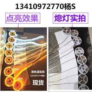 低功率4.8W准色温灯带12V24V2000K2700K3000K4000K5000K6000K灯条