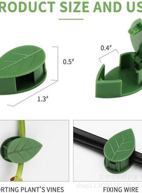 绿萝固定器叶型绿色植物隐形固定装置藤夹紧固件卡扣牵引整形钩