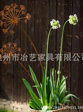 跨境经典风格的金属生锈蒲公英地插 - 乡村家居装饰花园艺术支架