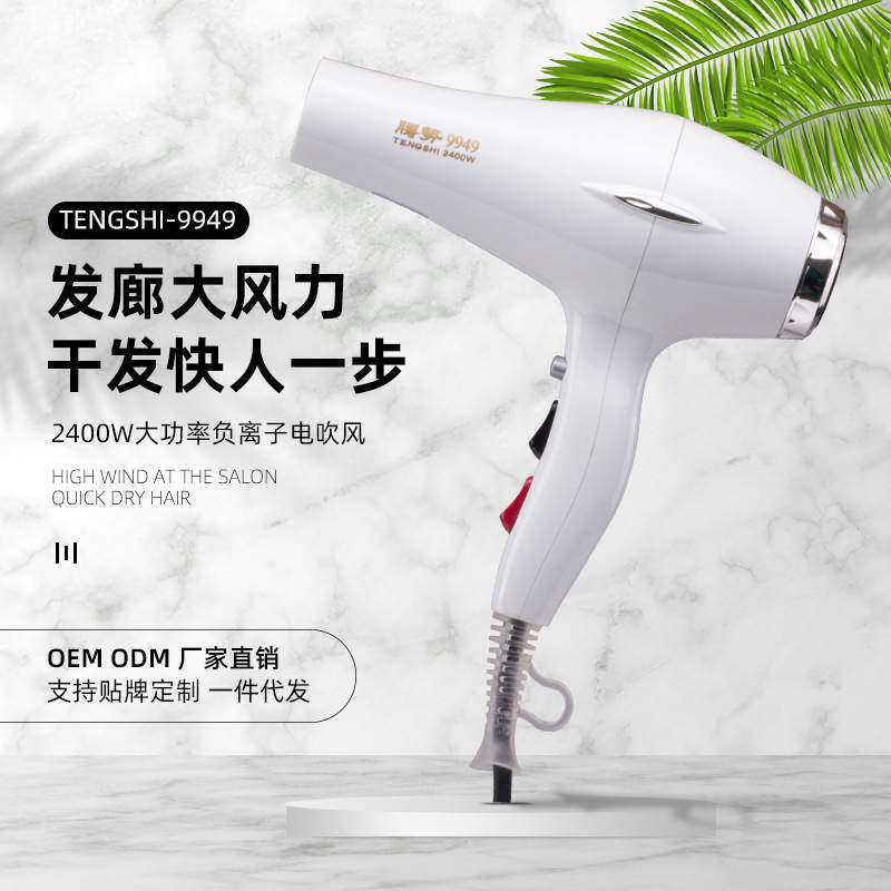 电吹风机家用大功率网红款风筒发廊静音冷热不伤发轻英规美规110V