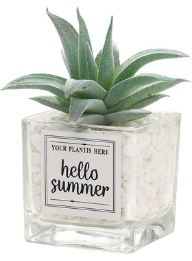 欧式ins迷你玻璃盆多肉植物盆栽摆件 盆景桌面室内U装饰仿真花摆