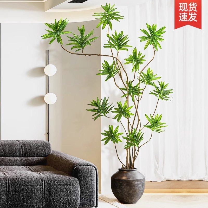 百合竹客厅大型盆栽装饰绿植x室内落地摆件办公室奶油风好养植物,鲜花速递/花卉仿真/绿植园艺,大型绿植/成品组合盆栽,淘宝优惠券,粉丝福利购,淘宝优惠卷