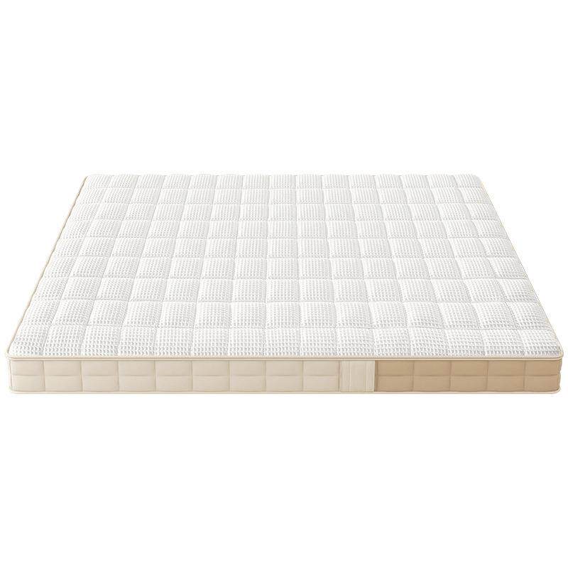全拆可视床垫薄弹簧床垫10cm15公分12乳胶记忆棉家用高箱床席梦思