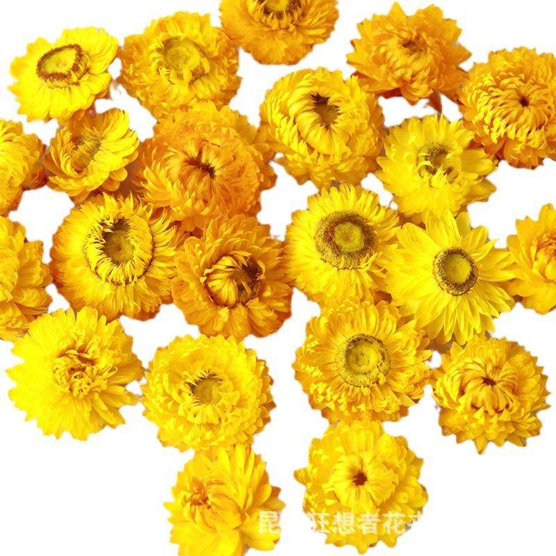 狂想者源头工厂雏菊麦秆菊干花头白色手工花材料干花材料包,家居饰品,餐桌花艺,淘宝优惠券,粉丝福利购,淘宝优惠卷