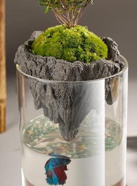 简约花瓶中古高级感玻璃瓶制品微景观生J态瓶水培透明植物玻璃花