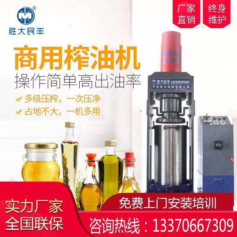 榨油机商用中型油坊 全自动橄榄油榨油全套生产线 食用油精炼机