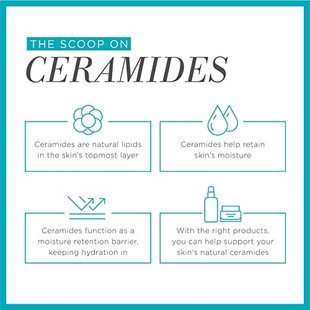 Care Makeup Face Japanese for Skin Oil Curel Cleansing