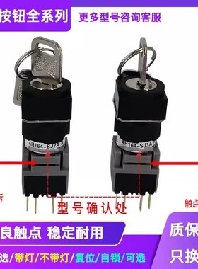 二三档钥匙选择按钮开关AH165-SJ2A  AH164-SJ2A SJ3A 11A  B