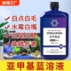 亚甲基蓝鱼药烂身烂尾水族鱼专用白点净专治水霉病鱼缸消毒杀菌药
