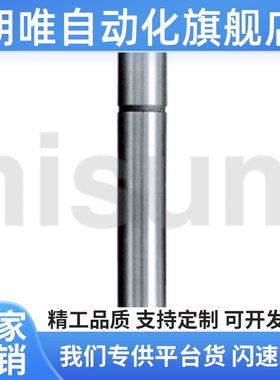 卸料板导柱直杆型SGPN SGON8 10 13 16 20 25-40 50 60 70 80 90