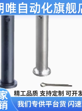 替代HCLGN3/4/5/6/8/10/12-35/3020铰链销带肩开口销型