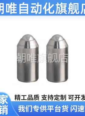 替BSZP5 6 8 10 12光身型球头柱塞无牙定位珠弹弓顶销螺钉