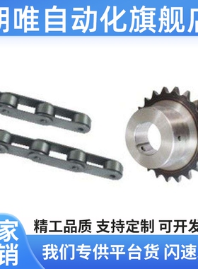 VLP01-2042-10-D25 VMP01-2042-4-A双节距大滚子输送链轮条