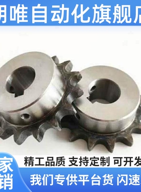 替代VLF02/11-40/VNF02/40 VMF01/21/03-40 恰和达链轮/链条40系