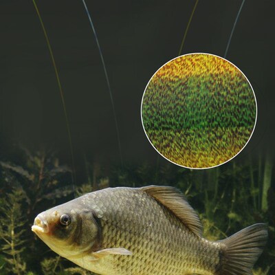 FTK 300/500m Invisible Fishing Line Speckle Fluorocarbon Coa