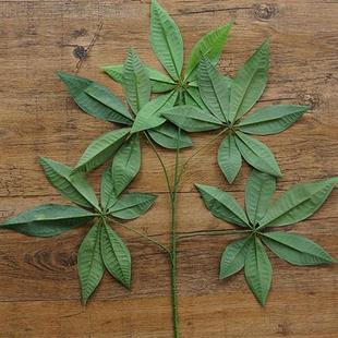 仿真发财树叶子塑料手感过胶树叶工程造景装饰绿植叶假发财树枝叶