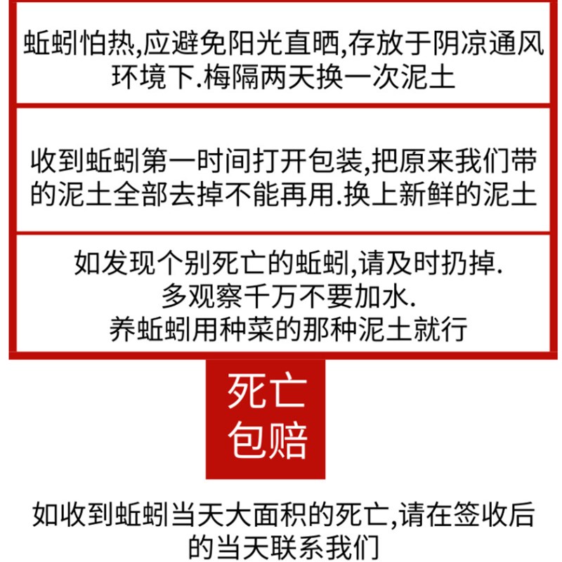 活体鱼饵黄鳝活饵黑蚯蚓青蚯蚓臭蚯蚓灰蚯蚓大蚯蚓包邮鲜活蚯蚓