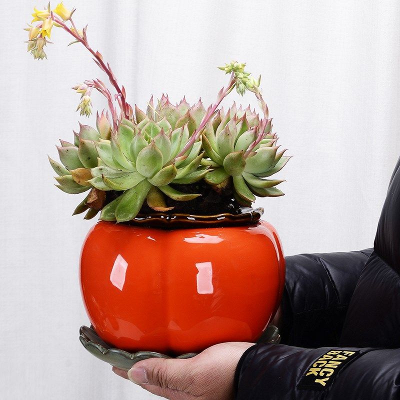 柿子有孔陶瓷花盆多肉绿植花瓶花架种花花器花盆客厅桌面玄关摆件,家居饰品,装饰摆件,淘宝优惠券,粉丝福利购,淘宝优惠卷