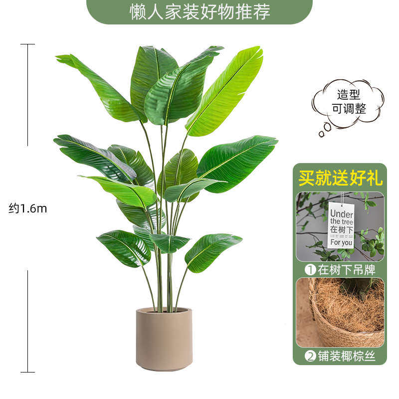 彷生绿植旅人蕉彷真花盆栽假植物装饰室内客厅散尾葵彷真绿植摆件,家居饰品,仿真植物盆景,淘宝优惠券,粉丝福利购,淘宝优惠卷
