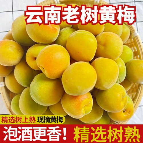 云南老树黄梅黄梅5斤泡酒酵素梅