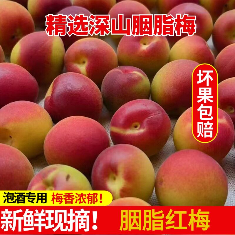 云南丽江胭脂梅5斤泡酒红梅新鲜现摘青梅泡酒专用酸梅子包邮包邮
